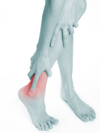 ankle